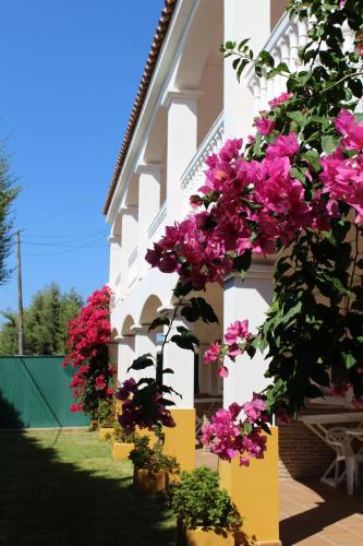 B&B Bolonia - Apartamentos Bolonia Paraiso - Bed and Breakfast Bolonia