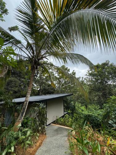 The Sevana - image 5
