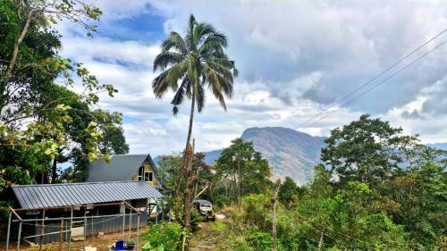 ViAN Mistyrocks in Inchathotty