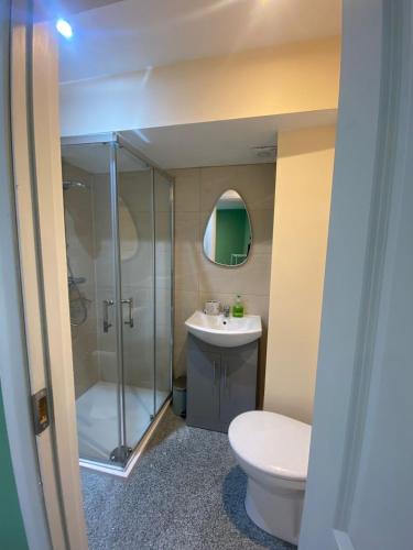Central house with fresh renovation in Maynooth