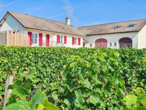 Навколишнє середовище, Maison de Vigneron entre Vougeot et Chambertin in Морі-Сан-Дені