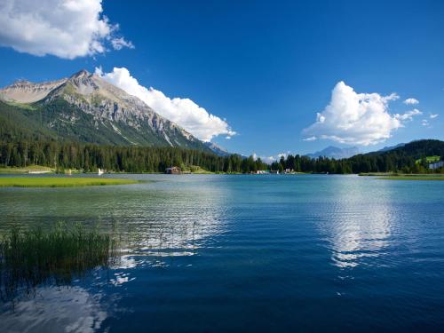 Schweizerhof Ferienwohnungen Lenzerheide 1