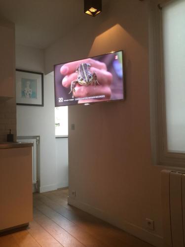 little luxurious nest in saint-germain