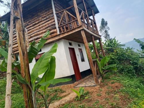 Weaver Bird Hostel in Kabale