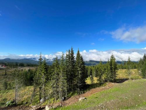 View, Hafjell Front 220D 8pers, Ski inout , Downhill Bike in Oyer
