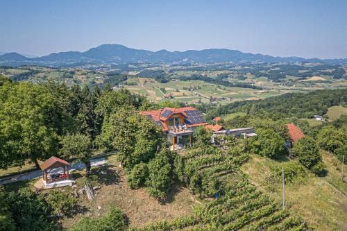 Viesnīcas āriene, Vineyard Cottage Vrbek in Roginska Gorca