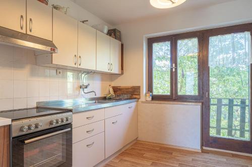 virtuve, Vineyard Cottage Vrbek in Roginska Gorca