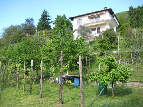 外部景觀, Casa Lucertola in 特隆扎諾拉戈馬佐雷