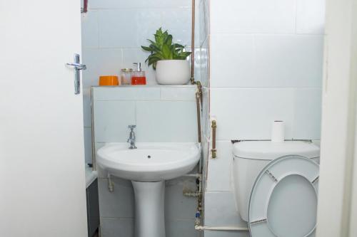 Centrally Located Studio Apartment - 2363 - image 4
