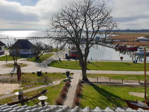 Hotel Hiddensee Hitthim in Insel Hiddensee
