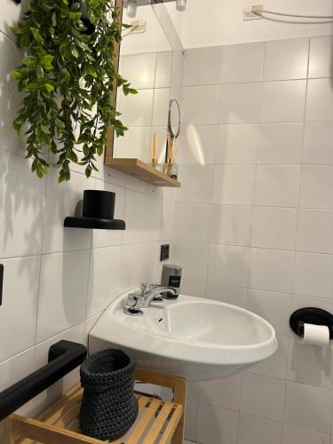 Bathroom, La Cabine Noire - Foppolo in Foppolo