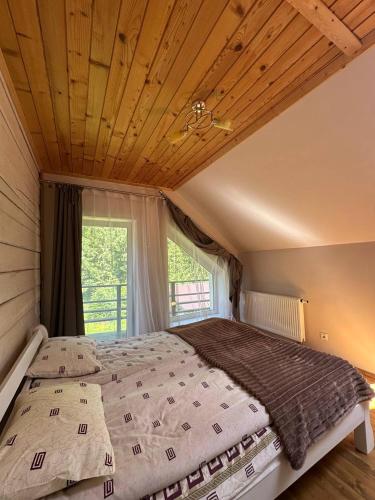 Guest house Alyaska in Polyanytsya