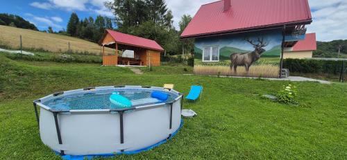 Peldbaseins, Domek Na Hawajach in Olchowiec