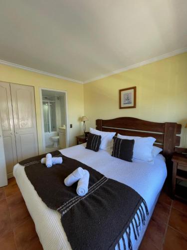 Hotel del Volcán – Pucon, MI