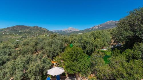 Casa Helecho Periana - image 4