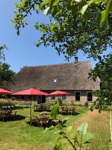 Widok z zewnątrz, B&B en theetuin Loodiep in Zwinderen