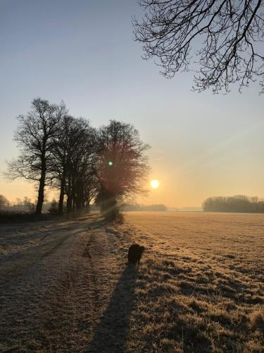 Wyposażenie, B&B en theetuin Loodiep in Zwinderen
