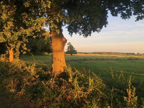 Otoczenie, B&B en theetuin Loodiep in Zwinderen