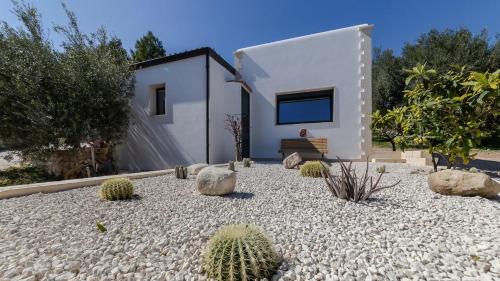 Tenuta Olive Alive