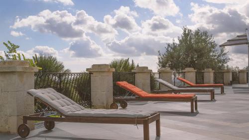 Tenuta Olive Alive