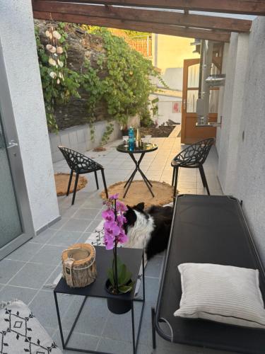 Residenz zu Caub - Pfalzgrafenstein Appartment in Kaub