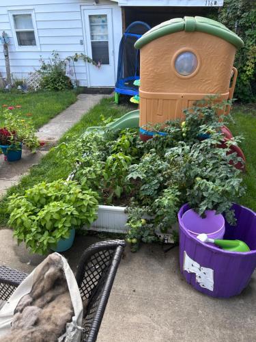 花園, Little house in the alley in 南達科他皮爾 (SD)