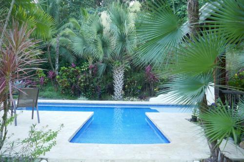 Casa de la Diversidad - La Casita - Ojochal – khách sạn tại Ojochal
