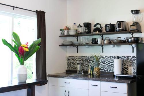 North Shore Studio in Mokuleia