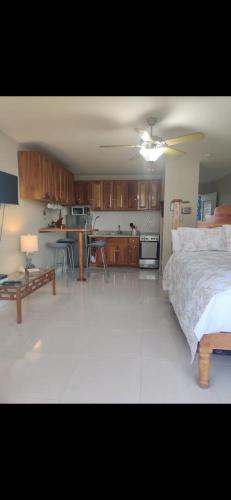 Millers apartment - Negril