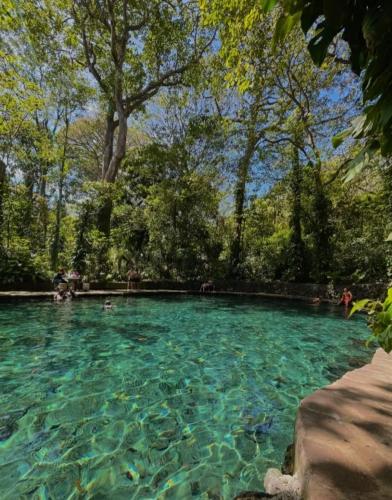 Casa Del Árbol - Ometepe (Casa Del Arbol - Ometepe) in Santa Cruz