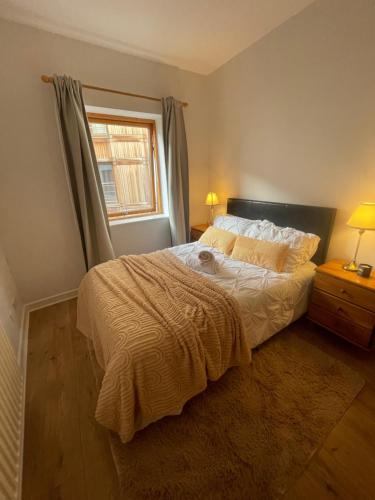 Entire Apartment in Heart of Dublin - image 8