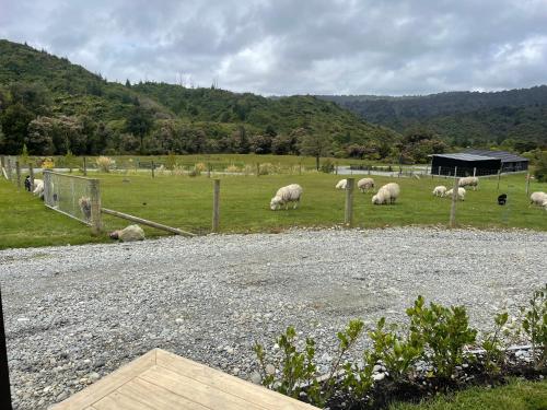 Vistas, Robbies Hut in Greymouth