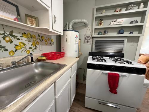 Historic 1BR Apt Kitchen Near VSU SGMC Down Town in 華爾多斯塔