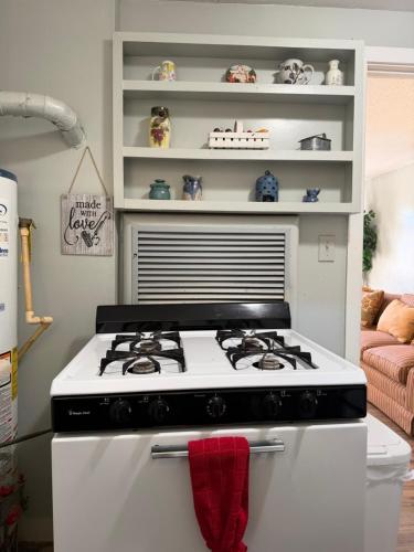 Historic 1BR Apt Kitchen Near VSU SGMC Down Town in 華爾多斯塔