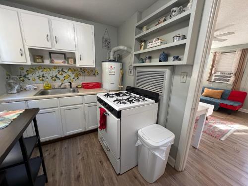 Historic 1BR Apt Kitchen Near VSU SGMC Down Town in 華爾多斯塔