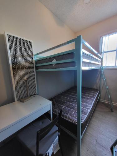 Sunny LA Bunk Bed in Koreatown