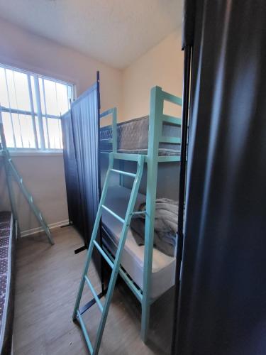 Sunny LA Bunk Bed in Koreatown