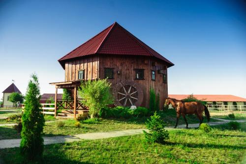 Hotel Zolota Pidkova in Kozlyn
