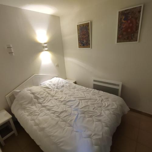 Superbe appartement résidence Pierre et Vacances