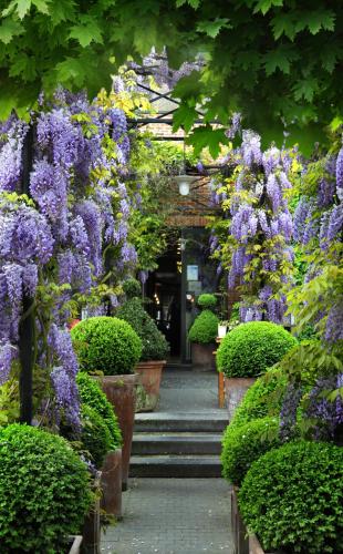 Tuinhotel - image 10