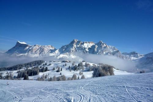 80680473 Hotel Cristallo - Wellness Mountain Living