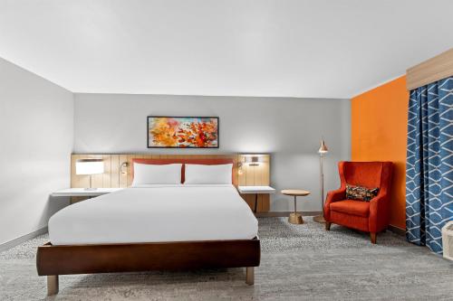 1 king bed
