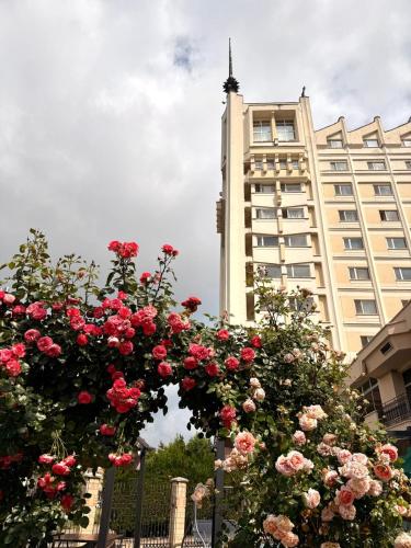 Hotel Mara, Baia Mare