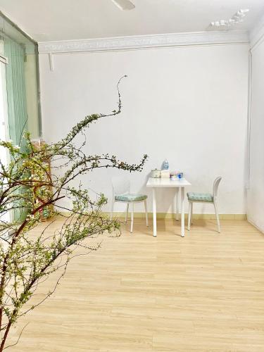 Avocado House in Tuy Hòa (Phú Yên)