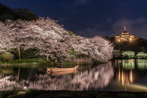 Activités à proximité, 横浜中華街,山下公園へ徒歩ですぐ,清潔,静か,快適なアパートメント,ふかふかベッド3名まで,洗濯乾燥機完備 (横浜中華街,山下公園へ徒歩ですぐ,清潔,静か,快適なアパートメント,ふかふかベッド3名まで,洗濯乾燥機完備) in Motomachi
