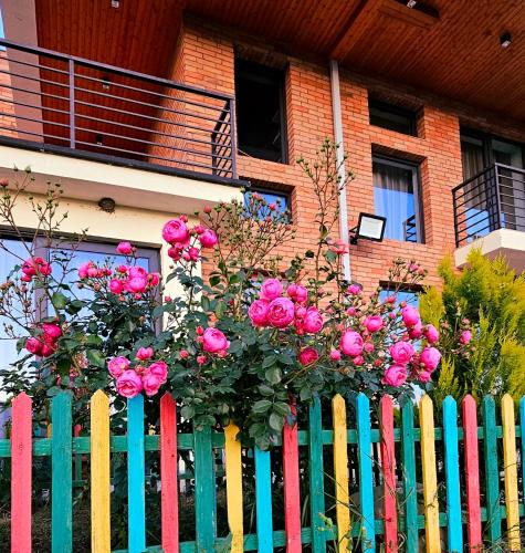 Изглед, GM - Guesthouse in Misaktsieli