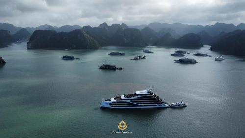 Diana Cruises Halong Bay - Luxury by Venus Group - image 2