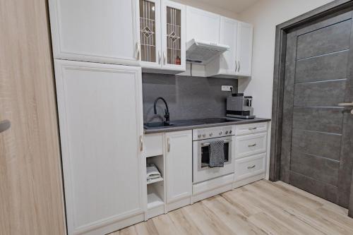virtuve, Gočár apartment Eliška (Gocar apartment Eliska) in Prysk