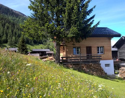 Chalet Daheim Reckingen  Gluringen