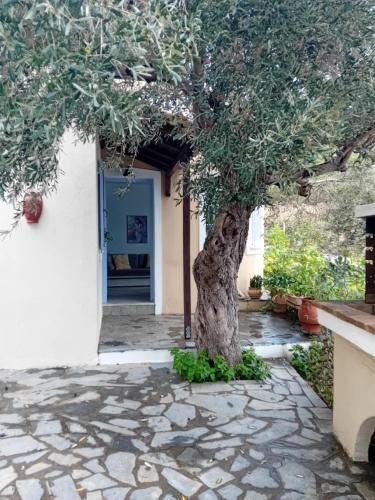 Katias Villa in 卡拉馬基亞